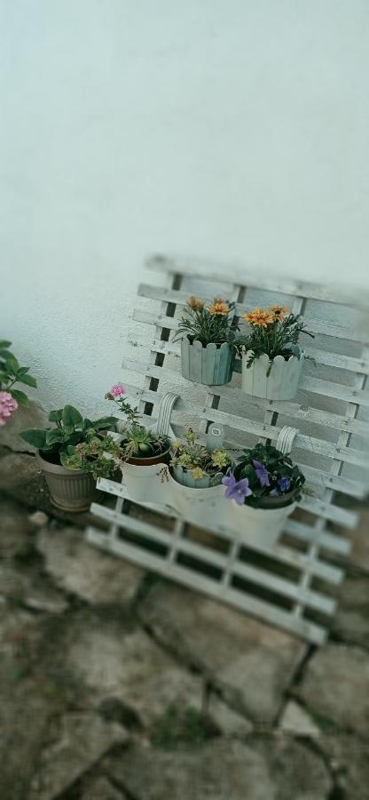 Apartment Silvija Vinišće Kültér fotó